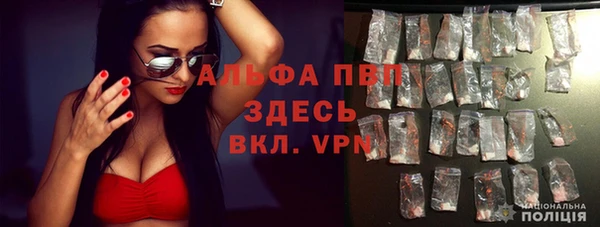 дурь Горно-Алтайск