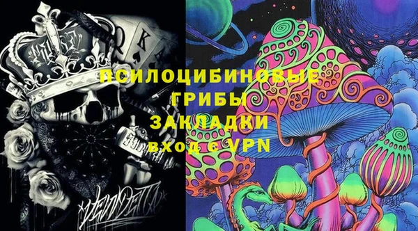 дурь Горно-Алтайск