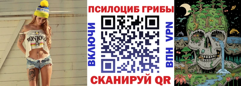 что такое наркотик  Чита  Псилоцибиновые грибы Psilocybe 